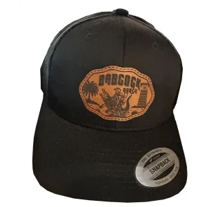 Babcock Ranch Gator Patch Hat Black